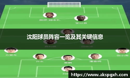 pt真人视讯