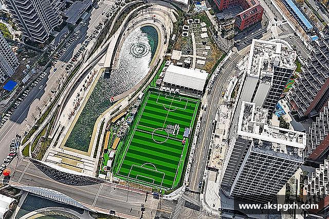 解读pt真人视讯